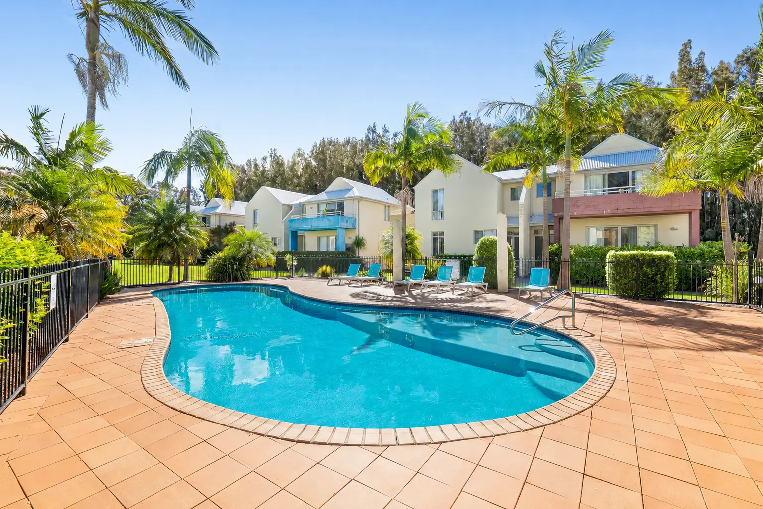 Resort-style pool under palm trees